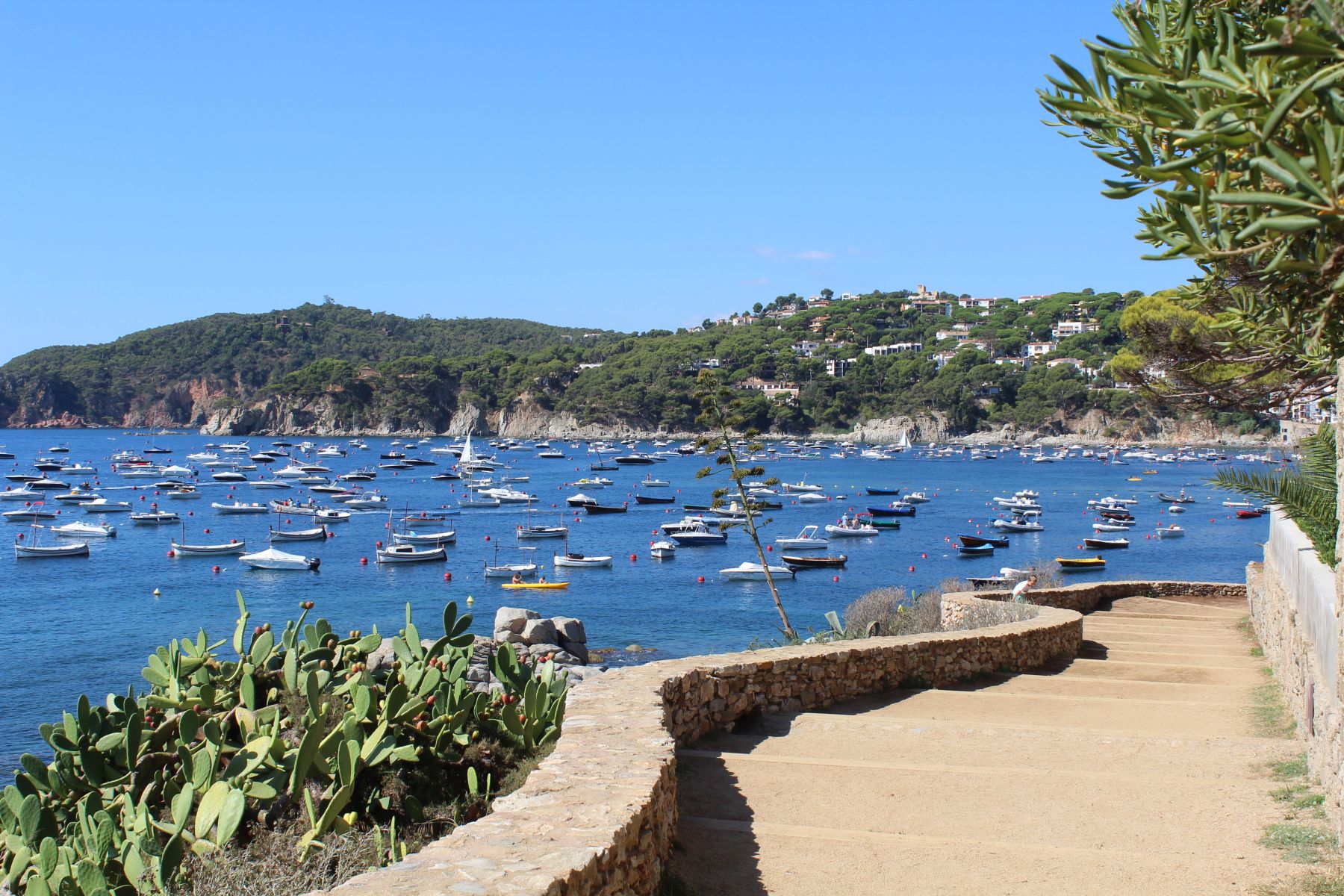 Cami de Ronda