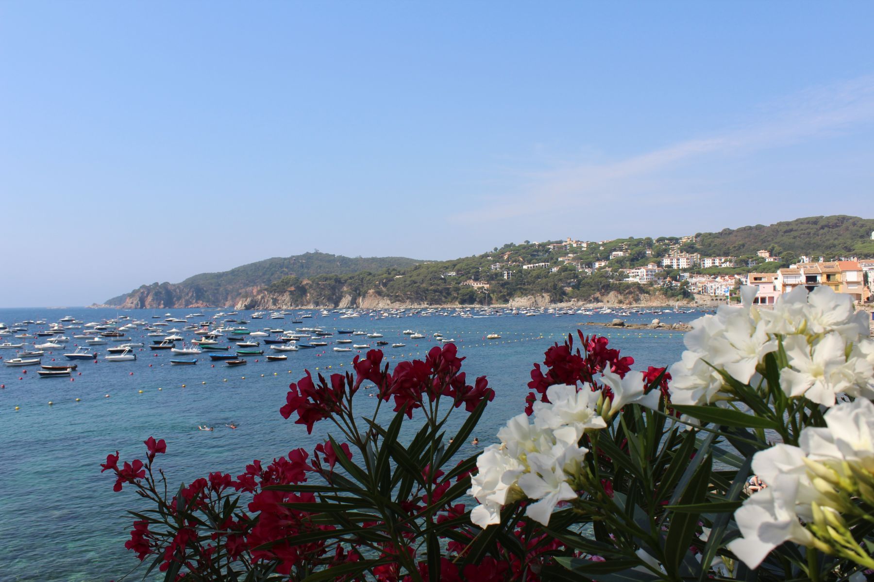 Cami de Ronda
